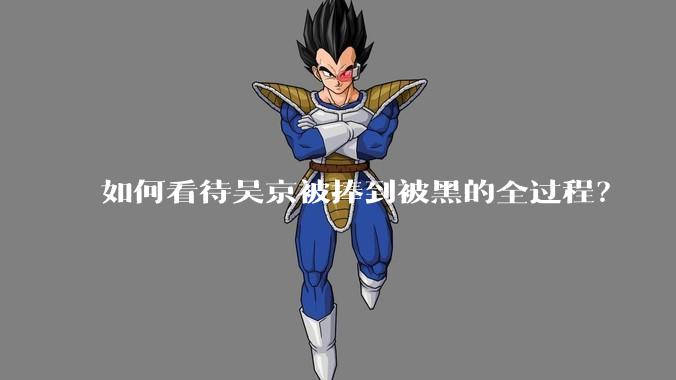 如何看待吴京被捧到被黑的全过程？